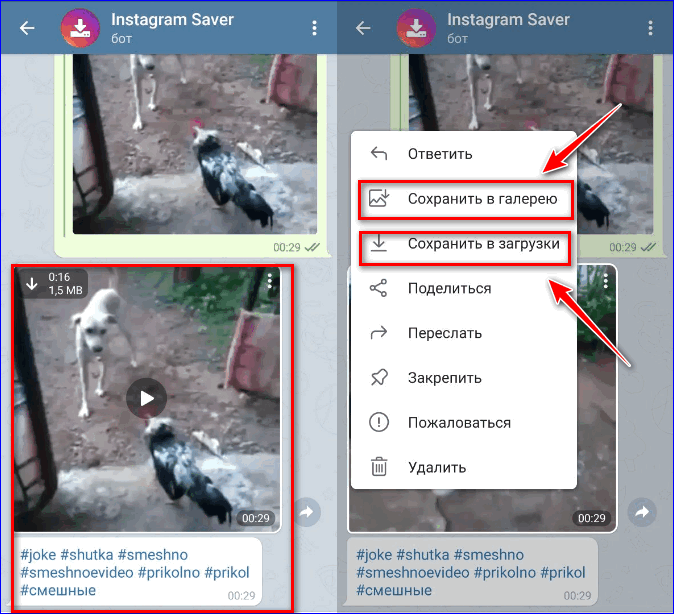 Скачать видео Инстаграм через чат бот Телеграм3