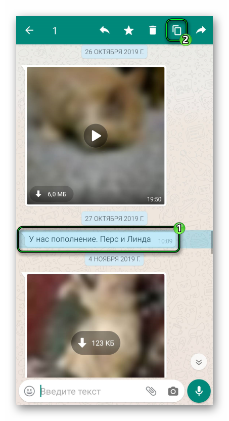 Копировать сообщение из WhatsApp