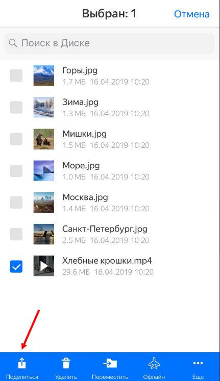 Как с Яндекс Диска скачать видео на Айфон: простой способ