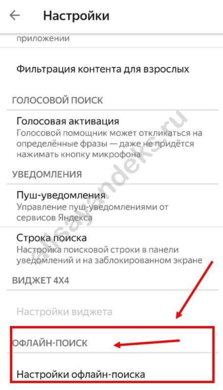 Работает ли Яндекс Алиса онлайн без скачивания